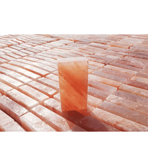 Himalayan Salt Bricks